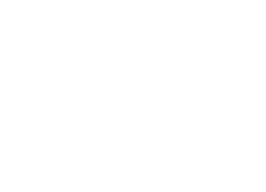 Loncon-Manual de estilos gráficos-02 1